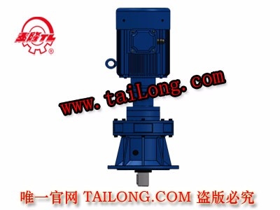 BHLED 立式雙級專用電機直聯(lián)型化工部擺線針輪減速器（機）